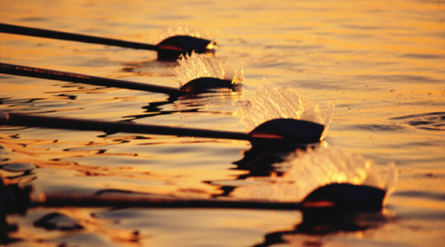 Rowing team's oars slicing through water, close-up, sunrise